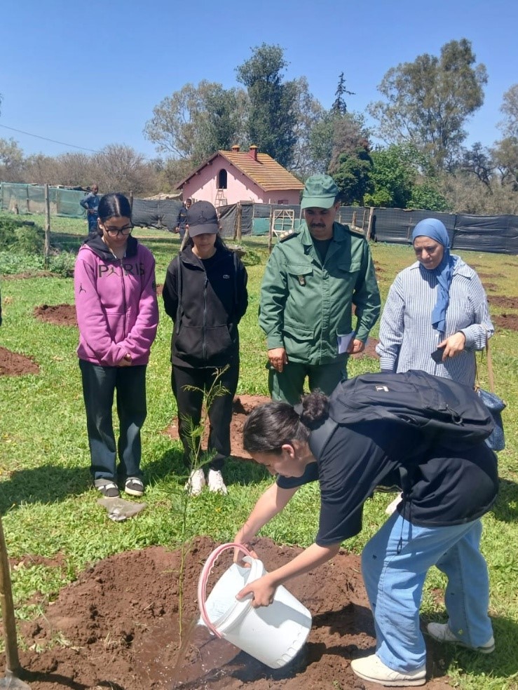 غابة المعمورة: هل التخليف طوق النجاة أم التشجير الحل البديل؟