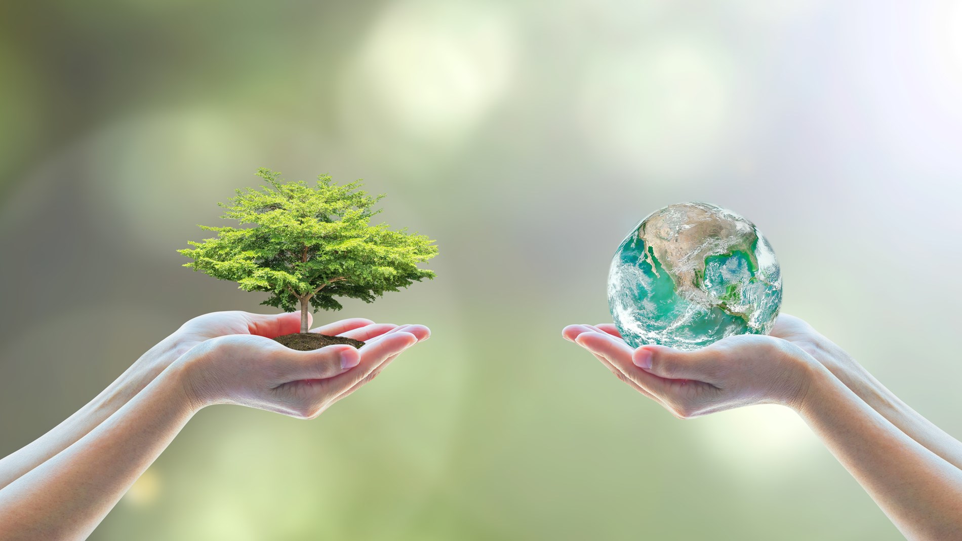 المنتدى الإقليمي للمجتمع المـدني حـــــــول التنميــــــــة المستدامــــــة.. الوثيقة الختامية