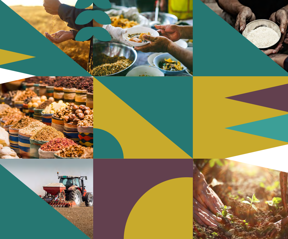 الإسكوا: واقع النظم الغذائية في المنطقة العربية يعيق تحقيق أهداف التنمية المستدامة 