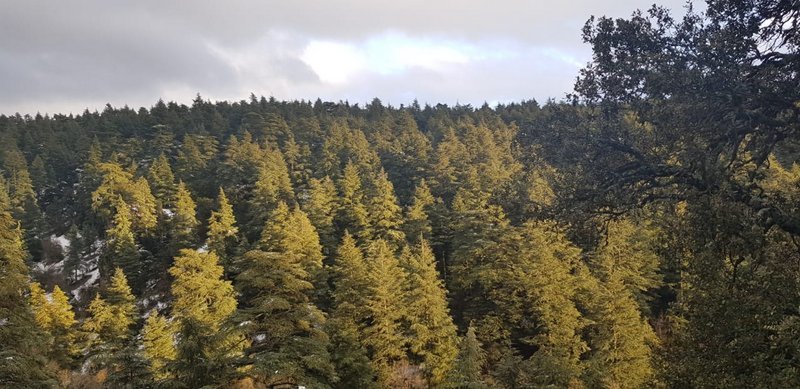  إميلشيل.. ورشة عمل تشاركية للتقييم الذاتي