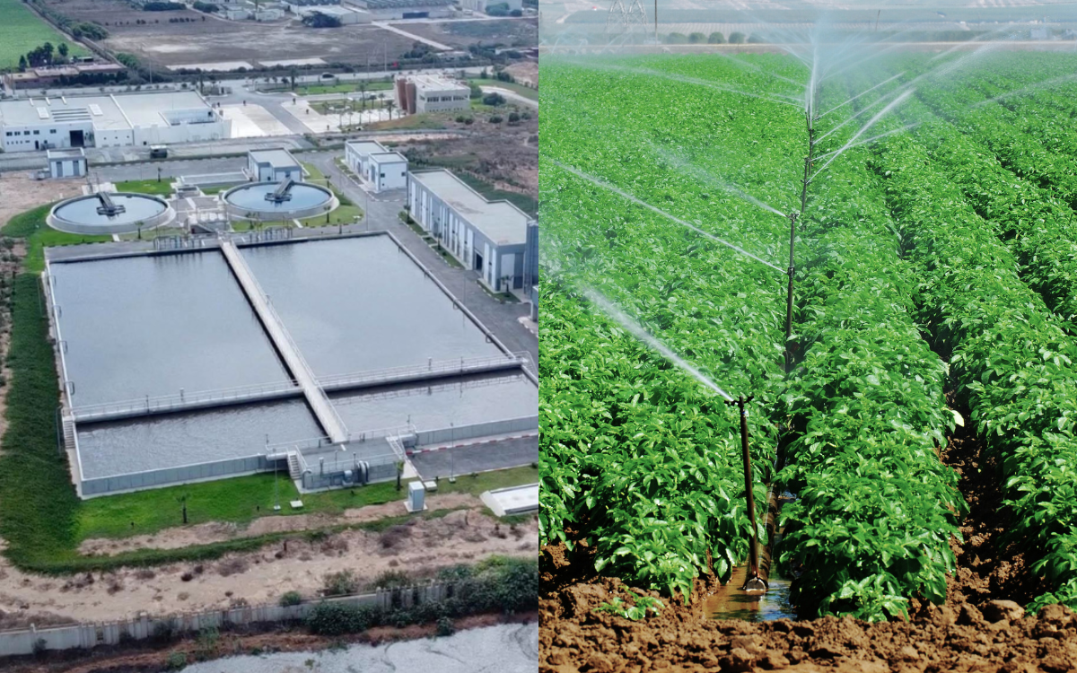 المغرب يعزز استخدام المياه المعالجة في الزراعة