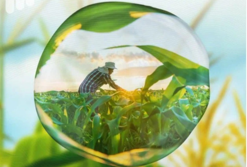 الزراعة الكربونية.. OCP تقود تحولا زراعيا من أجل المناخ والفلاح