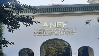 مجلس الحكومة يصادق على تعديل قانون إحداث الوكالة الوطنية للمياه والغابات