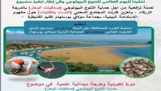 مولاي بوسلهام..دورة لتأهيل النساء وحماية صدفيات “الميخا” في يوم التنوع البيولوجي