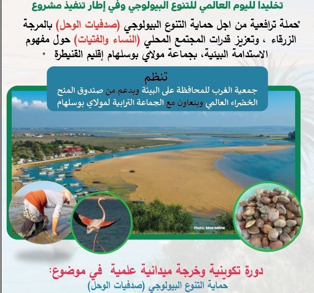 مولاي بوسلهام..دورة لتأهيل النساء وحماية صدفيات “الميخا” في يوم التنوع البيولوجي