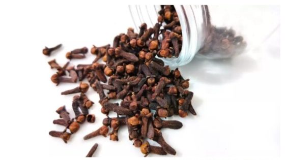 أشجار القرنفل في إندونيسيا تذبل بسبب تغير المناخ