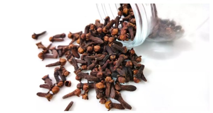 أشجار القرنفل في إندونيسيا تذبل بسبب تغير المناخ