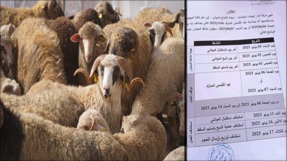 عيد الأضحى 2025.. مجازر البيضاء تعلن عن برنامج عمل استثنائي