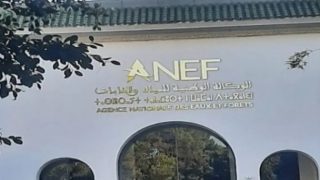 تحول نوعي في حكامة القطاع الغابوي بالمغرب