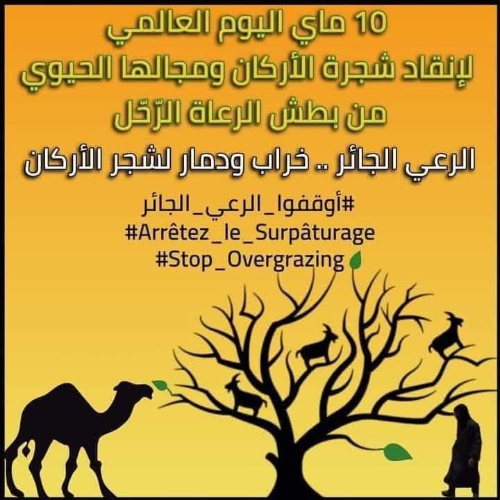 اليوم العالمي لإنقاذ شجرة الأركان