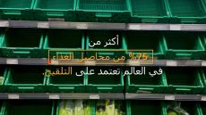 في اليوم العالمي للنحل..75% من محاصيل الغذاء تعتمد على التلقيح