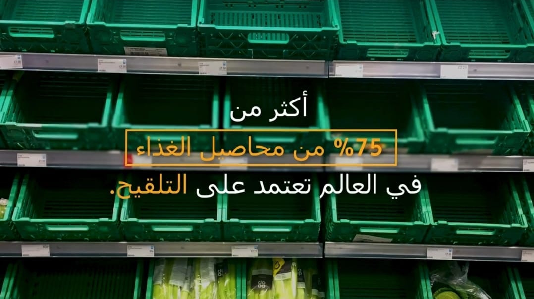 في اليوم العالمي للنحل..75% من محاصيل الغذاء تعتمد على التلقيح