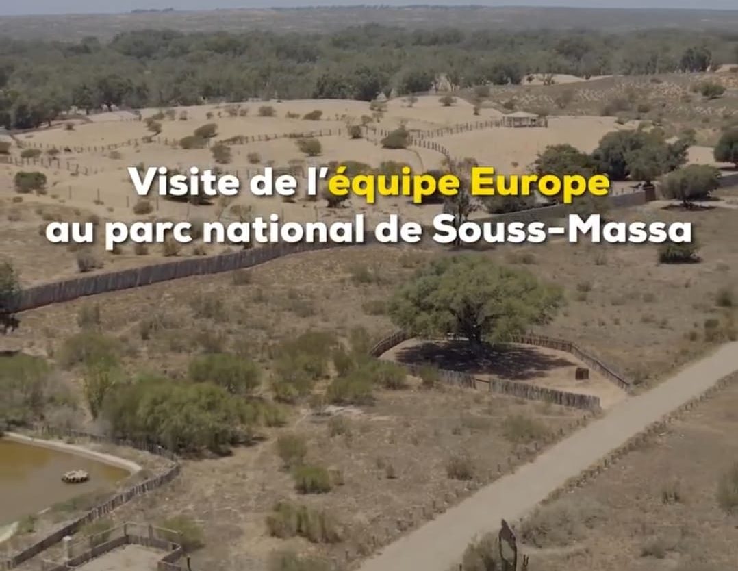 الوكالة الوطنية للمياه والغابات تنظم زيارة ميدانية للمنتزه الوطني لسوس ماسة