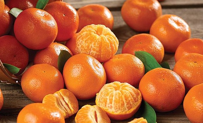 المندرين المغربي يسجل انتعاشا تاريخيا في التصدير ويتوسع نحو أسواق جديدة