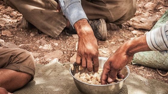 شمال إفريقيا في قلب أزمة الجوع العالمي.. تقرير يحذر من هشاشة الأمن الغذائي