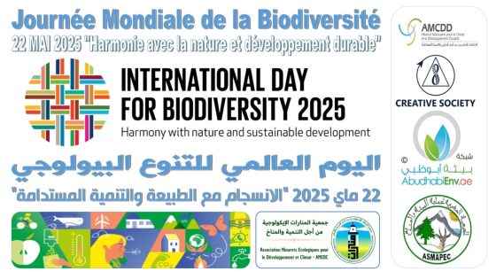 في اليوم العالمي للتنوع الأحيائي.. خبراء يحذرون من تهديدات النانو بلاستيك للصحة والبيئة