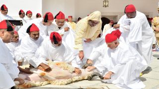 عيد الأضحى بين الشعيرة الدينية والمسؤولية الوطنية: حين يصبح الامتناع عبادة