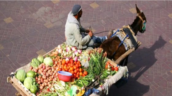 الدار البيضاء تعلن الحرب على فوضى الباعة المتجولين