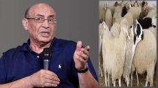 الدكتور بوعزة الخراطي: الجفاف يهدد القطيع الوطني ويدفع نحو الهجرة القروية