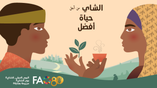في اليوم الدولي للشاي..من أجل حياة أفضل