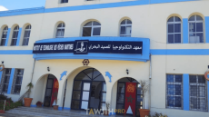 المعهد التكنولوجي للصيد البحري بآسفي يحتضن دورة لتقوية مراقبة بناء سفن الصيد