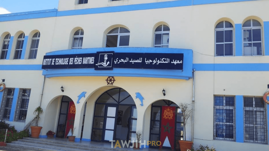 المعهد التكنولوجي للصيد البحري بآسفي يحتضن دورة لتقوية مراقبة بناء سفن الصيد