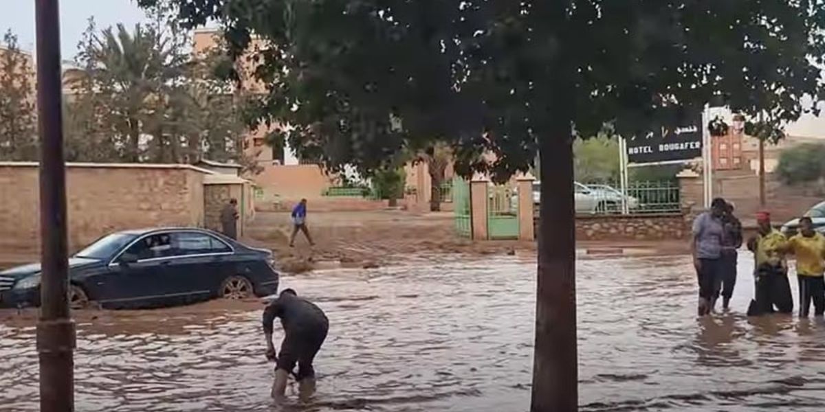 جمال أقشباب: التساقطات المطرية أثلجت صدور الفلاحين وخففت معاناة الساكنة بإقليم زاݣورة