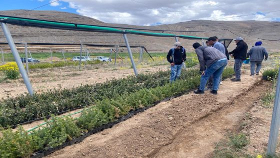 مشروع صندوق البيئة العالمي: جمعية أخيّام تستعيد التنوع البيولوجي حول بحيرة تيسليت