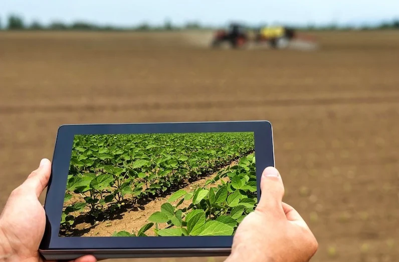 إقليم الخميسات.. عرض أحدث الابتكارات الزراعية المصممة لتعزيز مرونة القطاع الفلاحي