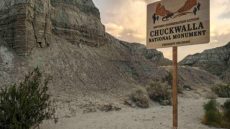 وزارة العدل الأمريكية تمنح ترامب الضوء الأخضر لإلغاء قرارات بيئية سابقة