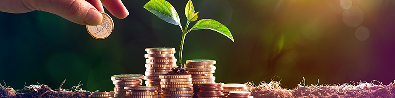 زيادة ميزانية المناخ في الأمم المتحدة بنسبة 10% رغم التحديات العالمية