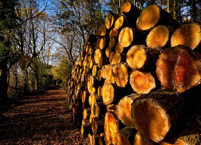 شركات النفط الكبرى تتوغل في عمق الأمازون