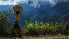 الأمم المتحدة: 138 مليون طفل ضحايا عمالة الأطفال في 2024.. والتقدم نحو القضاء عليها "بطيء ومقلق"