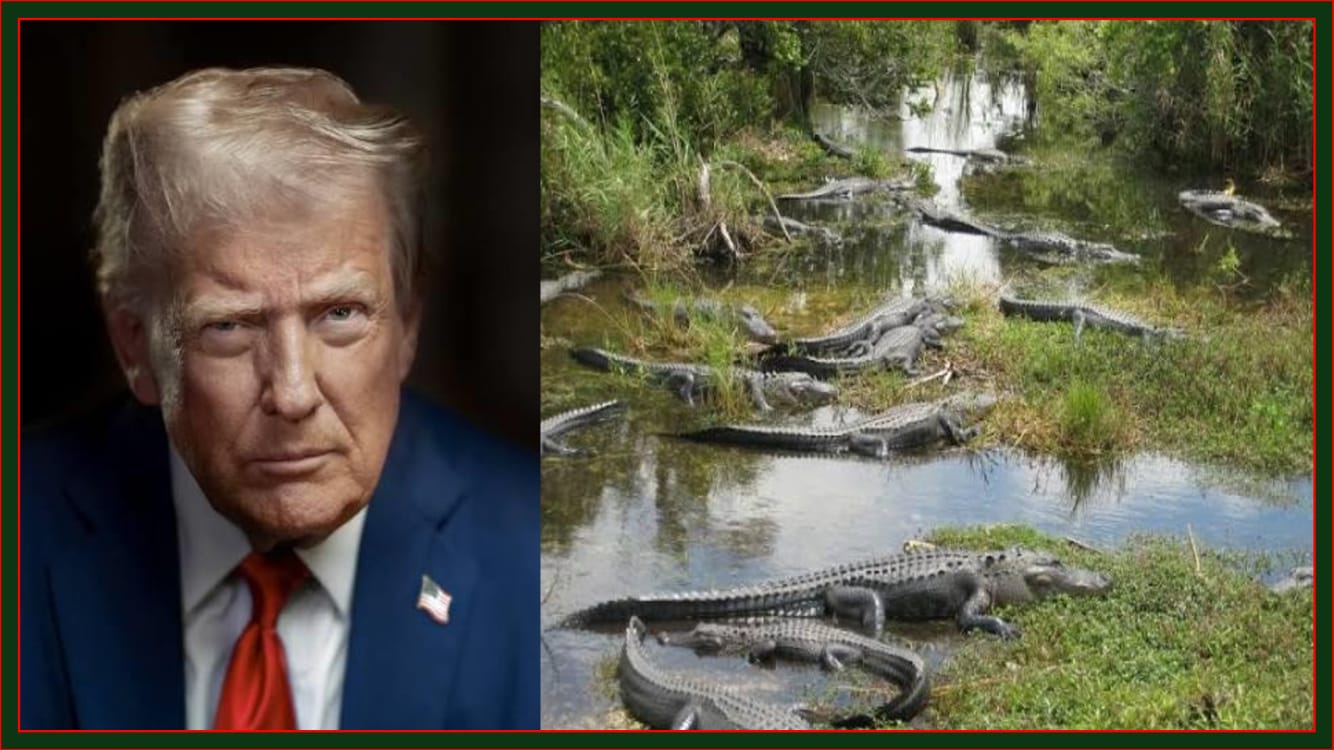 بقيادة ترامب.. فلوريدا تبني مركز احتجاز للمهاجرين في قلب منطقة بيئية مهددة