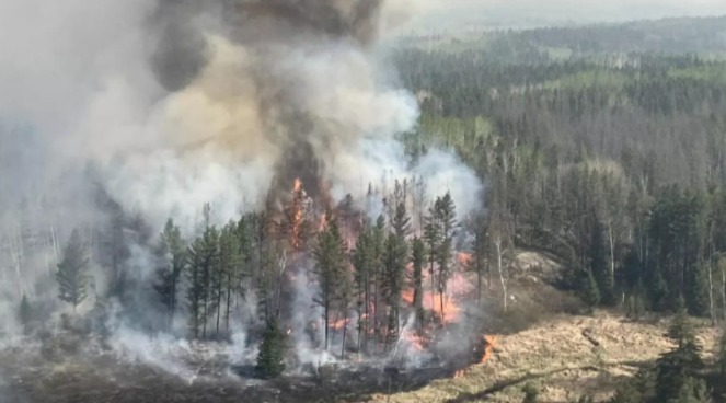 حرائق الغابات في كندا..اتساع نطاق الحرائق وإجلاء السكان في عدة مناطق