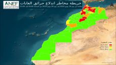 الوكالة الوطنية للمياه والغابات تصدر خرائط المناطق الأكثر عرضة لحرائ العابان للتنبؤ تظهر بدقة المناطق
