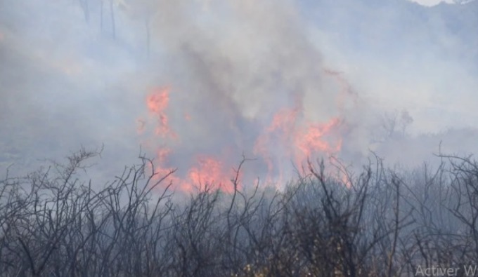 الحسيمة: تواصل الجهود للسيطرة على حريق غابة “ثاندا إفران”