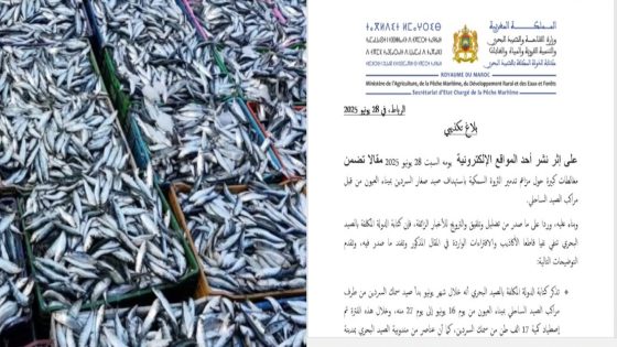 كتابة الدولة تنفي اتهامات استهداف صغار السردين بميناء العيون