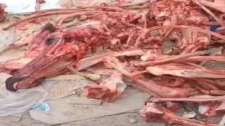 صدمة عشية العيد.. لحوم ورؤوس حمير في أسواق شعبية بالدار البيضاء