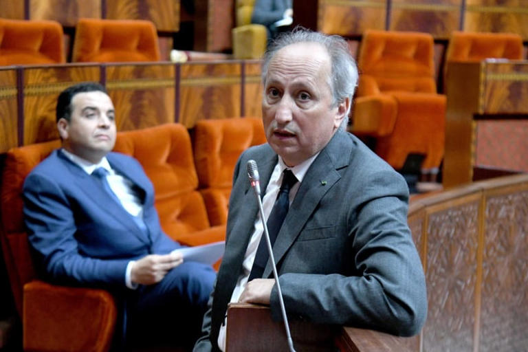 محمد برادة :الذكاء الاصطناعي داعم للمدرسة المغربية