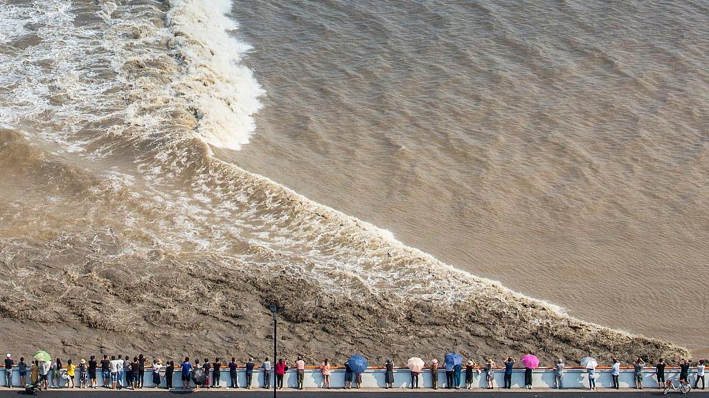 نهر تشيانتانغ بالصين: يعرف في بعض المناطق باسم  تنين الفضة