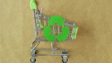 اليوم العالمي للبيئة 2025.. حين يصبح كل فرد حارسا للأرض