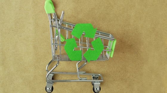 اليوم العالمي للبيئة 2025.. حين يصبح كل فرد حارسا للأرض