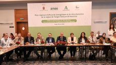 جهة طنجة.. تقديم نتائج المرحلة الأولى للمخطط الجهوي للنجاعة الطاقية وإزالة الكربون