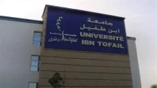 جامعة ابن طفيل تدخل عصر الرقمنة في تكوينات الدكتوراه لتعزيز البحث العلمي
