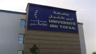جامعة ابن طفيل تدخل عصر الرقمنة في تكوينات الدكتوراه لتعزيز البحث العلمي