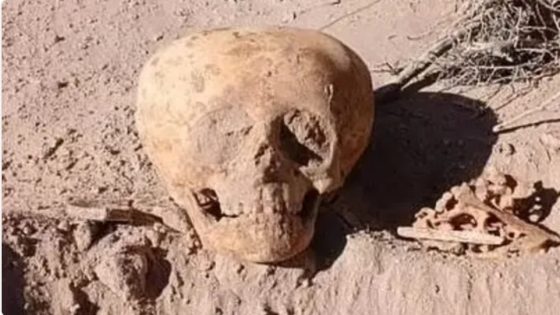 جمجمة مشوهة تثير دهشة الخبراء في الأرجنتين: طقس قديم أم لغز من الماضي؟