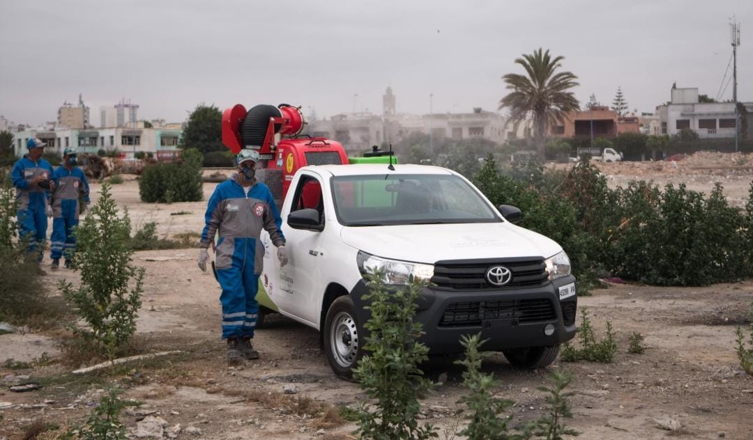 الدار البيضاء تطلق حملة موسعة لمحاربة الحشرات والقوارض في الأحياء والشواطئ