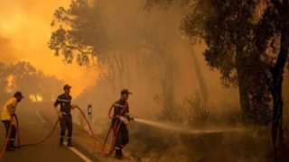 حرائق الغابات: ثلاث بؤر في يوم واحد تحت لهيب الشركي