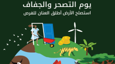 في اليوم العالمي للتصحر.. التدهور وصل إلى 40% من مساحة اليابسة